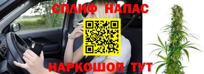 spice Пенза