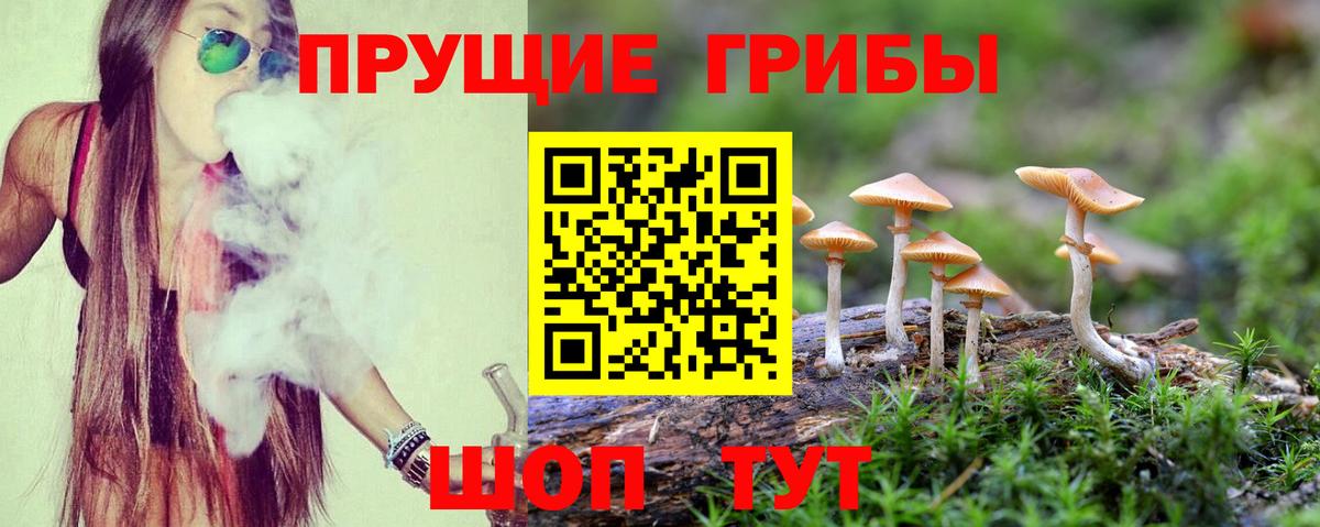 Россошь  Псилоцибиновые грибы прущие грибы  Вход с VPN 
